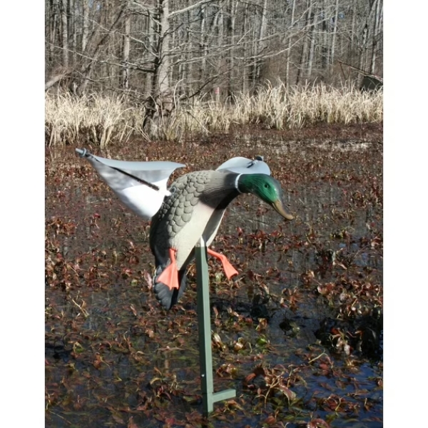 mojo-wind-duck-myure-za-zelenoglavi-patici-vyrtashti-krila-www.lovnistoki.bg (2)